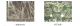 f_5fa8980388b8b24f9905eaec686ce27f.png